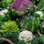 Les choux. Tous les choux (chou-fleur, de Buxelles, brocoli, chou kale...) sont antioxydants et fortement dépuratifs. Ils sont truffés d'éléments protecteurs pour l'immunité. Consommés sous forme lactofermentée (en choucroute), ils développent des bactéries probiotiques, meilleures alliées de la flore intestinale.
